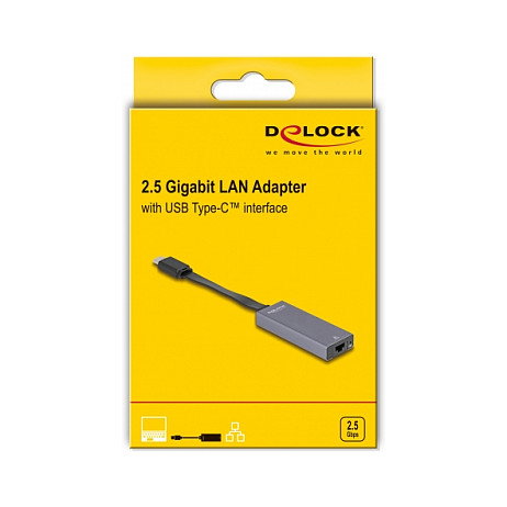 DeLOCK Adaptador USB Type-C™ a LAN 2,5 Gigabit RJ45 Slim Gris