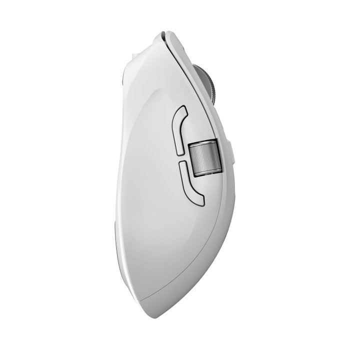 ALOGIC Apex Ratón Inalámbrico Bluetooth RF Blanco ALOGIC Apex Ratón Inalámbrico Bluetooth RF Blanco