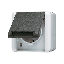 Jung 820 KI W AP/WD Interruptor con Toma de Corriente Integrada, Blanco