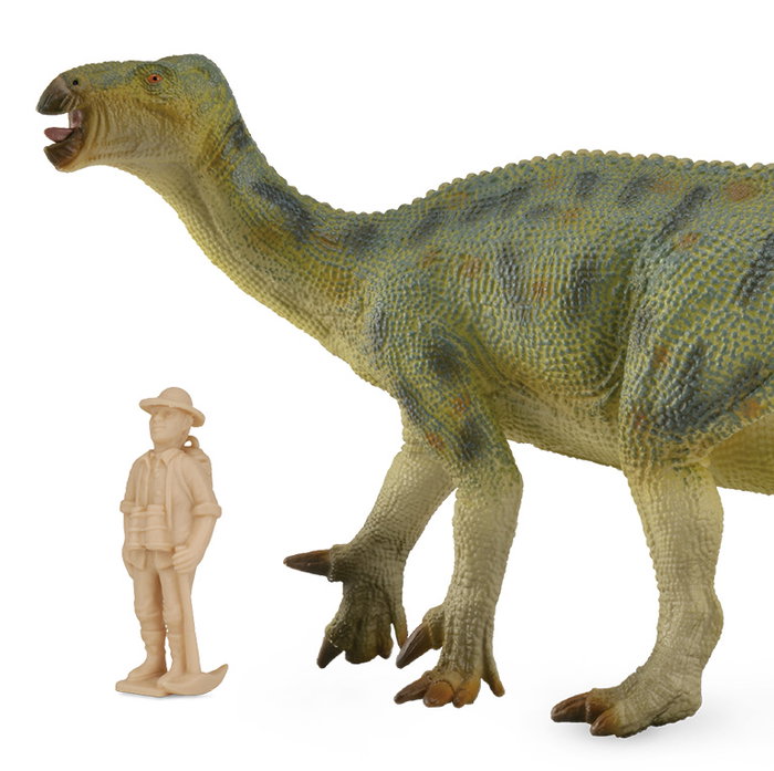 Collecta Iguanodon Deluxe 1:40 Réplica Dinosaurio 88812