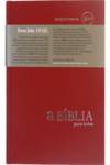 SOCIEDADE BIBLICA, BIBLIA BPTC 53 VERMELHO - VV.AA.