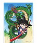 Sd toys Imán relieve Goku y Shenron Dragon Ball