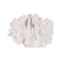 Ixia Figura de Coral Blanco en Resina, 22,50 x 13 x 16 cm