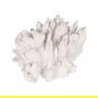 Figura Coral Blanco Resina Decoración 22,50 X 13 X 16 cm