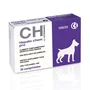 CHEMICAL IBERICA VET Hepato Chem Pro 100/25 30 Comprimidos