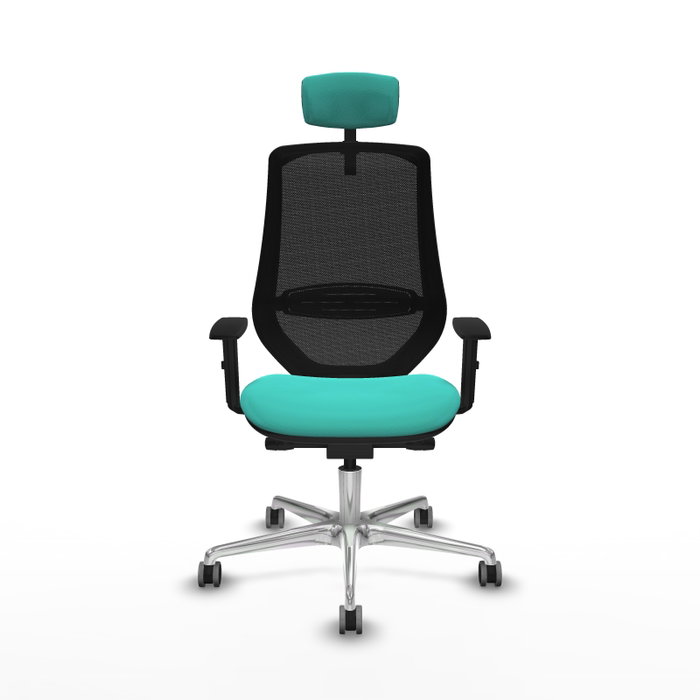 PIQUERAS Y CRESPO Silla de oficina Mardos con mecanismo Sincro/Traslack, Turquesa y Negro PIQUERAS Y CRESPO Silla de oficina Mardos con mecanismo Sincro/Traslack, Turquesa y Negro