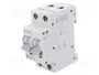 EATON ELECTRIC Interruptor magnetotérmico HN-C10/2 2 polos 10A 6kA