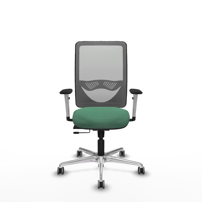 PIQUERAS Y CRESPO Silla de oficina Zulema con mecanismo Sincro/Traslack, Verde esmeralda y Gris PIQUERAS Y CRESPO Silla de oficina Zulema con mecanismo Sincro/Traslack, Verde esmeralda y Gris