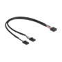 DeLOCK 84513 Cable USB 2.0 de 10 pines a 2 x 4 pines, 30 cm