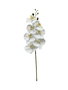 Oplante Flor Artificial Vara de Orquídea Blanca, Hecha de Látex, Decoración Realista de 63 cm de Alto y 15 cm de Ancho, Color Blanco