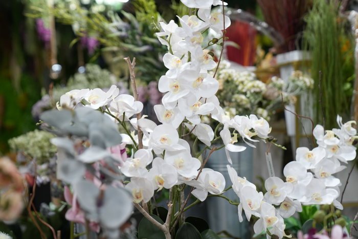 Oplante Flor Artificial Vara de Orquídea Blanca, Hecha de Látex, Decoración Realista de 63 cm de Alto y 15 cm de Ancho, Color Blanco