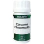EQUISALUD Holofit Cúrcuma Fitosomada 50 cápsulas