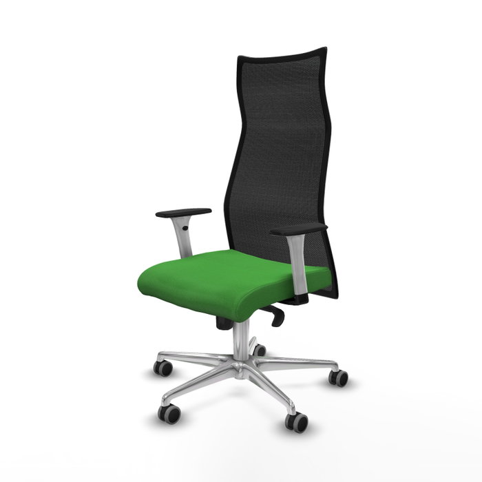 PIQUERAS Y CRESPO Sillón Albacete Verde y Negro con Mecanismo Sincro y Base de Aluminio PIQUERAS Y CRESPO Sillón Albacete Verde y Negro con Mecanismo Sincro y Base de Aluminio