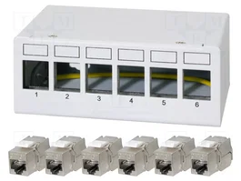 LogiLink Panel de parches de 6 puertos con 6 módulos Keystone Cat.6A