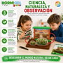 Cefa Juego Hormicefa Genius