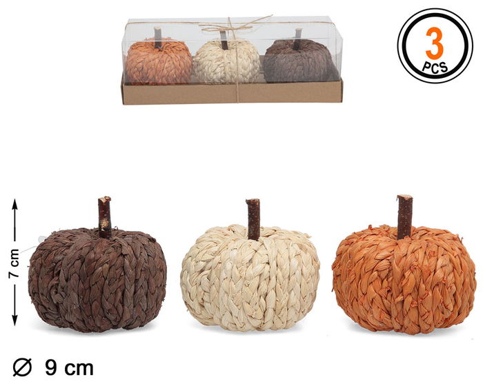 Set 3 Mini Calabazas Mimbre Tonos Naturales Decoración Otoño Halloween Acción de Gracias Estilo Rústico Vintage Campestre Bohemio Centro de Mesa Escaparate Estantería Set 3 Mini Calabazas Mimbre Tonos Naturales Decoración Otoño Halloween Acción de Gracias Estilo Rústico Vintage Campestre Bohemio Centro de Mesa Escaparate Estantería