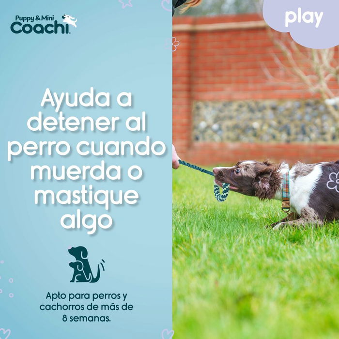 Arnés para Perro Coachi