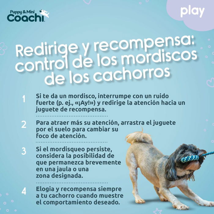 Arnés para Perro Coachi