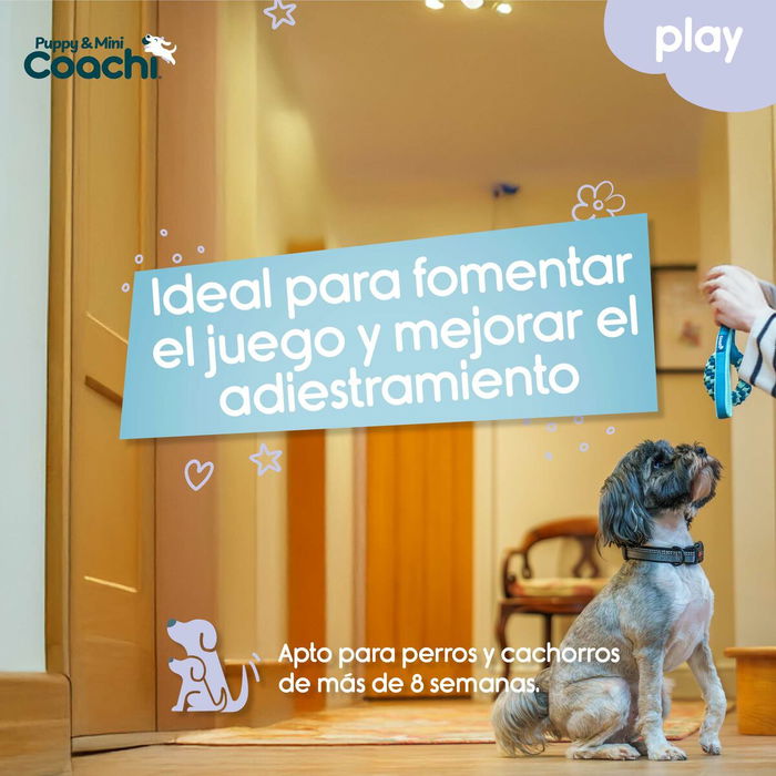 Arnés para Perro Coachi