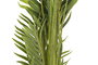 DKD Home Decor Planta Tropical Palmera Artificial Verde Decoración 60 x 177 x 60 cm (2 Unidades)