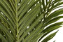 DKD Home Decor Planta Tropical Palmera Artificial Verde Decoración 60 x 177 x 60 cm (2 Unidades)