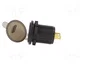 ESOL Alimentador USB para coche con USB-A y USB-C