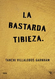 Valparaíso, La bastarda tibieza, Tanchi Villalobos Garnham - Valparaíso