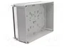 ELEKTRO-PLAST NASIELSK Carcasa Industrial Universal Gris
