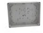 ELEKTRO-PLAST NASIELSK Carcasa Industrial Universal Gris