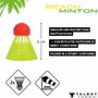 Schildkrot Juego de minton de playa