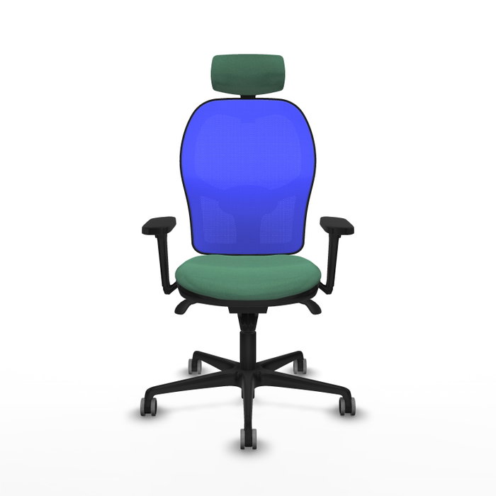 PIQUERAS Y CRESPO Silla de oficina Jorquera con mecanismo Sincro, Verde esmeralda y Azul PIQUERAS Y CRESPO Silla de oficina Jorquera con mecanismo Sincro, Verde esmeralda y Azul