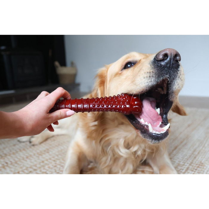 Hueso Nylabone Marrón Bacon XL