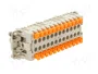 ILME Conector HDC CSH Hembra 24 Pines