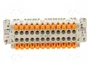 ILME Conector HDC CSH Hembra 24 Pines