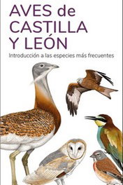 TUNDRA, AVES DE CASTILLA Y LEON - TUNDRA