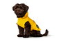 Hunter Abrigo Milford 25 cm Amarillo Resistente al Agua y al Viento para Perro Cuello 18-38 cm Vientre 26-36 cm Poliéster