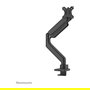 Newstar Neomounts DS70PLUS-450BL1 Soporte de Mesa Giratorio para Pantallas Curvas UltraWide de 17 a 49 Pulgadas - Negro