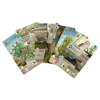 Lookout Games LOG0156ES Forest Shuffle Dartmoor - Juego de Cartas Estratégico Familiar de Creación de Ecosistemas, Edad 10+, 2-5 Jugadores, 60 Min, Español