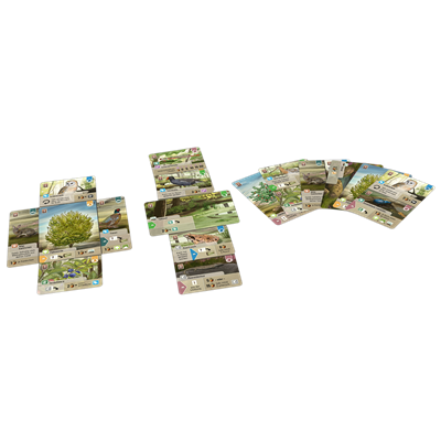 Lookout Games LOG0156ES Forest Shuffle Dartmoor - Juego de Cartas Estratégico Familiar de Creación de Ecosistemas, Edad 10+, 2-5 Jugadores, 60 Min, Español