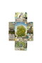 Forest Shuffle Dartmoor Jdm
