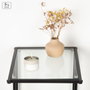 Color Baby Max Home Mesa Auxiliar de Metal y Cristal 40X30Xh59Cm