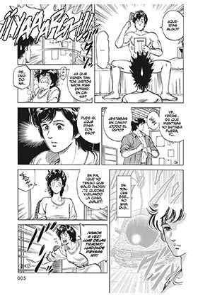 Yermo Ediciones Y Publicaciones, S.L. CITY HUNTER 13