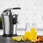 Princess 201860 Exprimidor Eléctrico de Cítricos Master Juicer Pro 300 W - Profesional, Acero Inoxidable Negro, Palanca, Filtro Ajustable, Antideslizante, Aptas Lavavajillas