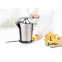 Princess 201860 Exprimidor Eléctrico de Cítricos Master Juicer Pro 300 W - Profesional, Acero Inoxidable Negro, Palanca, Filtro Ajustable, Antideslizante, Aptas Lavavajillas