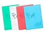 Liderpapel Carpeta con 40 fundas de polipropileno DIN A4 Rojo translúcido
