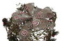 DKD Home Decor Set de 3 Piezas de Ratán con LED Verde y Beige