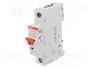 ABB Interruptor de aislamiento SD200 50A 253VAC 1 Polo