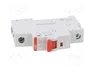 ABB Interruptor de aislamiento SD200 50A 253VAC 1 Polo