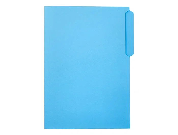Liderpapel Subcarpeta de Cartulina con Pestaña Folio Azul Liderpapel Subcarpeta de Cartulina con Pestaña Folio Azul