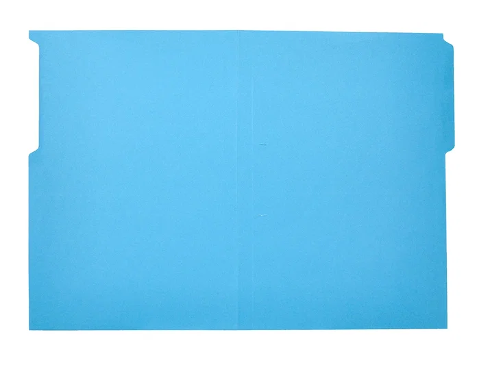 Liderpapel Subcarpeta de Cartulina con Pestaña Folio Azul Liderpapel Subcarpeta de Cartulina con Pestaña Folio Azul